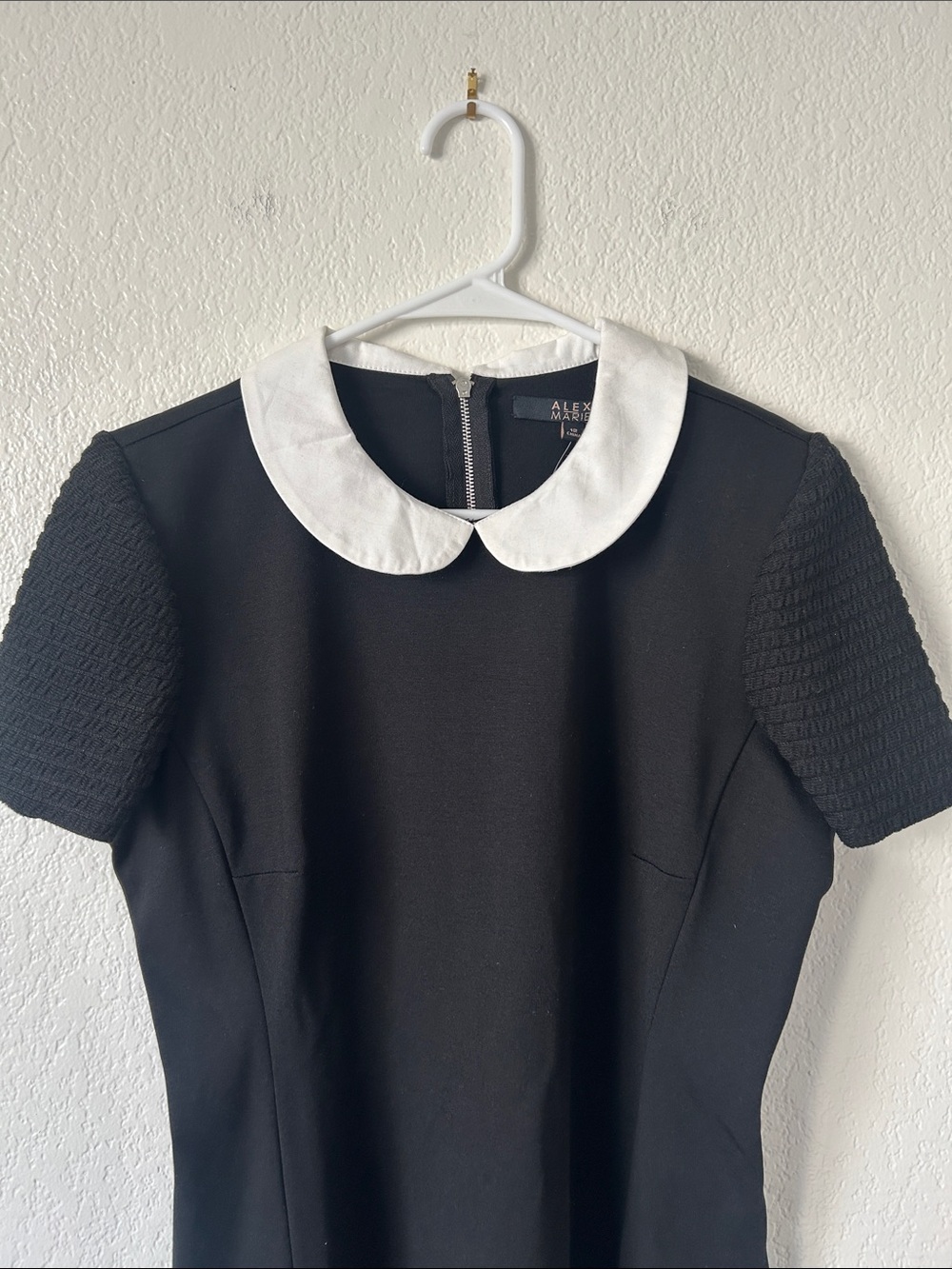 Alex Marie Black Midi Dress with White Peter Pan Collar - Picture 5 of 9